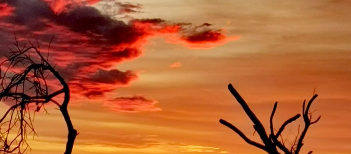 Cielo al atardecer con nubes rojas y ramas secas en primer plano