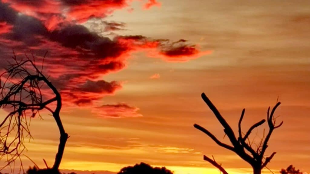 Cielo al atardecer con nubes rojas y ramas secas en primer plano